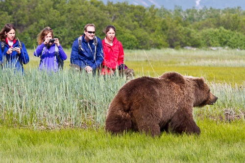 Berenexcursie Katmai National Park